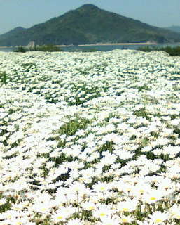 !cid_01_120515_112540__840P@softbank_ne.jpg